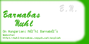 barnabas muhl business card